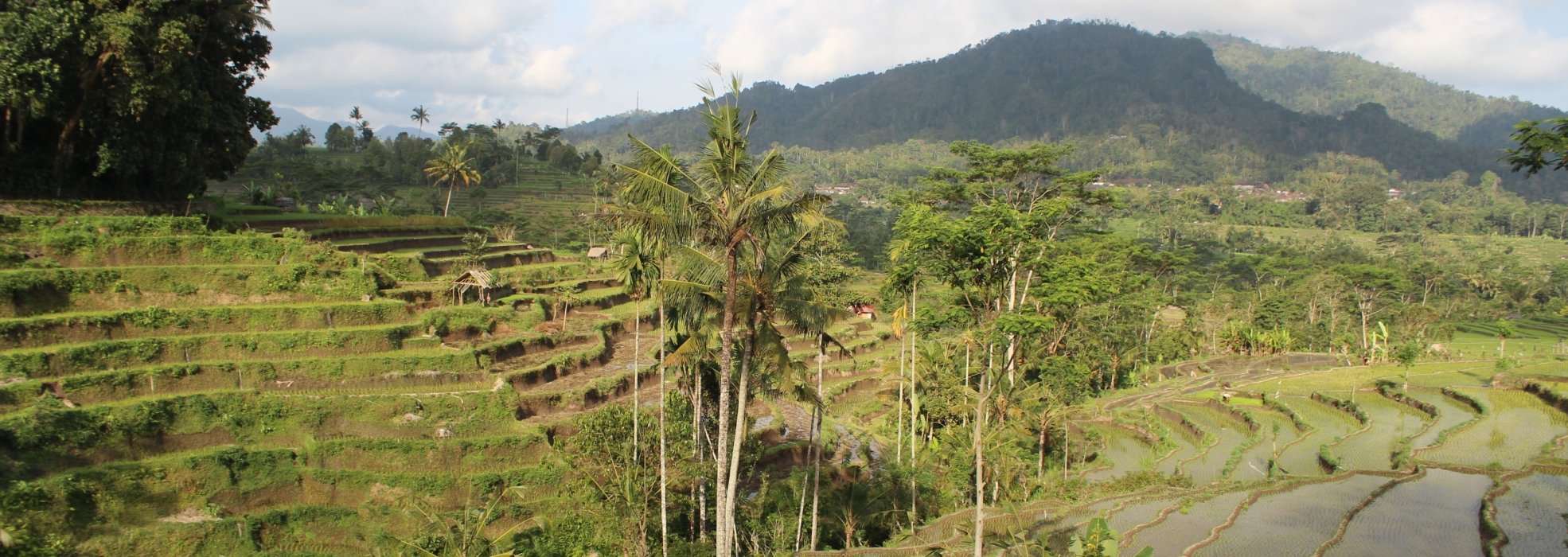 Villa Karma Loka Voorheen Lihat Sawah Sidemen  